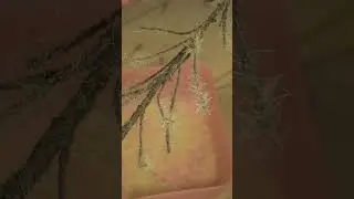 BUILDING A MINIATURE TREE 🌲