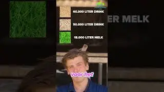 Haverdrink, sojadrink, of koemelk, welke heeft de grootste footprint?