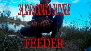 Фидерная рыбалка в Загубье. Караси.
