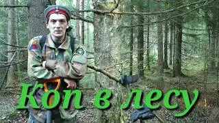 Коп в лесу.Александр(реставратор) №166