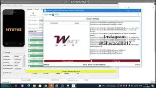WMT TEAM Auth Bypass Tool