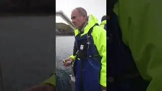 Benthic Testing