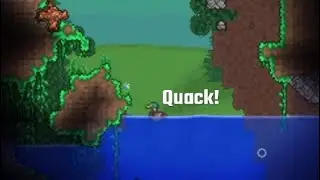 Quack easter egg!??