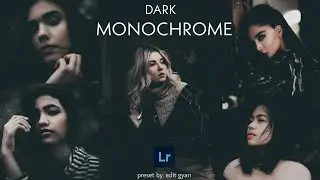 Dark and Monochrome Preset | Free Presets Lightroom Mobile Download DNG & XMP