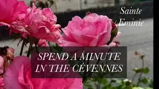 Spend a Minute in the Cévennes [Plus Beau Village]