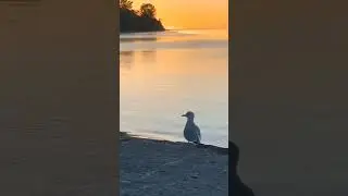 #nature