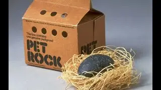 Pet Rock: The Original Meme?
