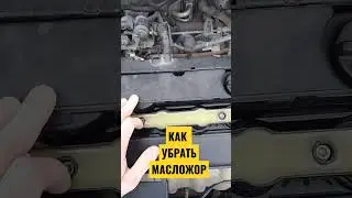 Как убрать масложор на автомобиле
