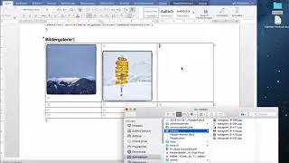 Word 2016: Bilder Tabelle