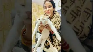 Shadi k baad bhi mujhe nahi bhula🐱 Ammi ne banayi mirchi ki sabzi😍 #shorts #ytshorts