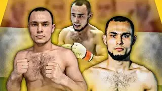 Чемпионат  Московской области по ММА