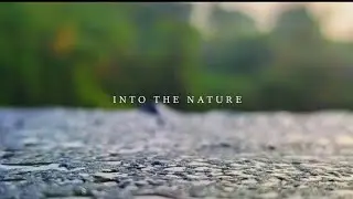 Into the nature - Natural cinematic video | Redmi note 10 || Non copyright music