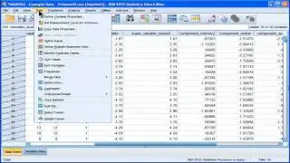 Select Cases - SPSS (part 1)