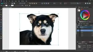 Remove (or change) background in Affinity Designer