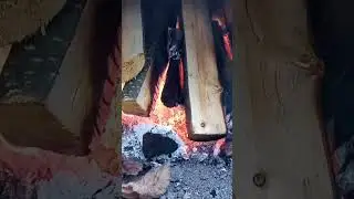 Home smoke .  Domowa wędzarnia