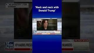 VP Harris pressed on 2024: Why aren’t you 30 points ahead? 