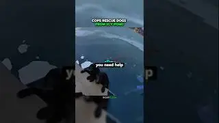 Police Rescue Dogs From icy Pond 😨