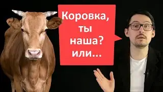 Очерк о корове...