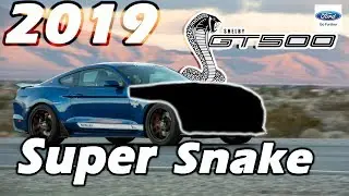2019 Shelby GT500 Super Snake: THE POSSIBILITIES!