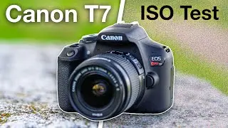 Canon Rebel T7: Full Photo & Video ISO Noise Test