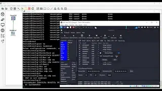 NETWORK SECURITY(CDP Protokolüne Saldırı  Savunma)
