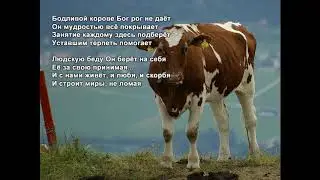 Стихи Черкашин Дмитрий - Корова