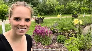 Planting A Bunch Of Perennials! | Simply Bloom