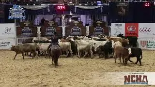 Phil N Dangerous and Lindy Thorn — 2022 NCHA Futurity Open Champions