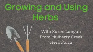 Growing and Using Herbs