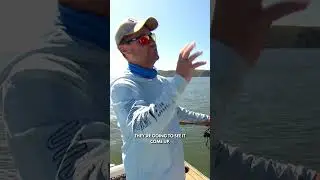 How to stay in the strike zone! 🎣  #fish #fishing #bcf #shorts