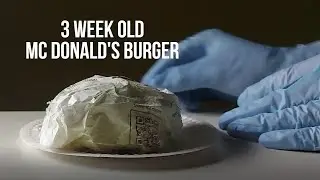 3 Week Old Mc Donald's Burger