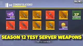 SEASON 12 TEST SERVER WEAPONS ..!! CODM S12 BETA