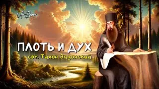 Книга «Плоть и дух» | свт. Тихон Задонский | Аудиокнига