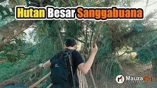 Nemu Jejak Macan Kumbang dan Kuburan Keramat di Hutan Besar Cinaga