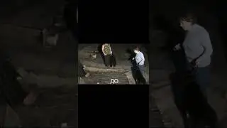 Черные терьеры против Алабая