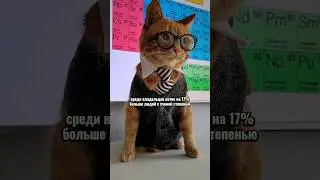 Факты о котиках 