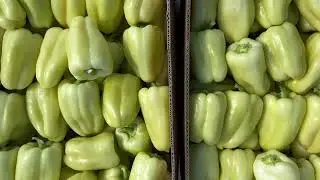 Огляд цін на салатні овочі🍅🥬 28.06.23