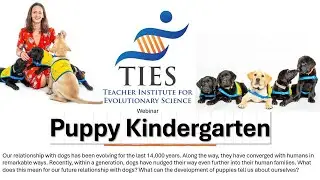 Puppy Kindergarten: The New Science of Raising a Great Dog