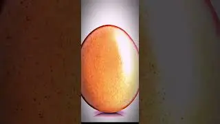 egg🥚#egg