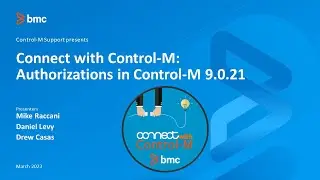 CWCM: Authorizations in Control-M 9.0.21