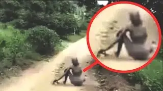 10 CRIATURAS SOBRENATURAIS CAPTURADAS POR CÂMERAS!