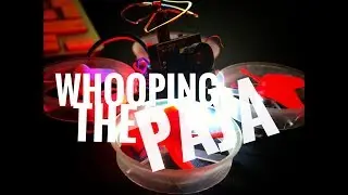 Whooping The Paja