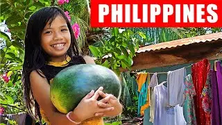 SIMPLE LIFE IN THE PHILIPPINES | ISLAND LIFE
