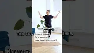 Элементы Тандавы Это оптимальные динамические траектории 🕺 Передача: Е. Беляков, К.Евдокимова