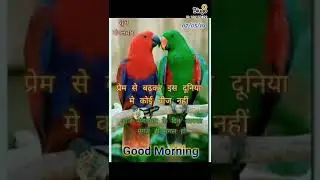 Arjun Muniya I you love
