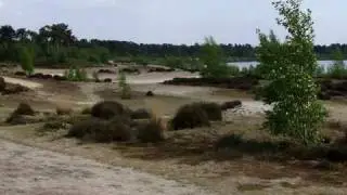 Netherlands: The Reinders Lake (Reindersmeer) in the national park Maasduinen