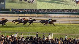 【現地映像 4K】2025.11.30（日） 東京12R ジャパンカップ（GⅠ）【カランダガン】