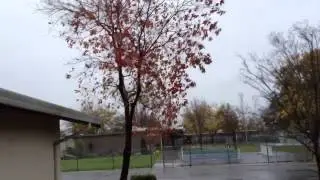 Storm 2
