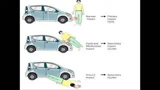 8:00 FORENSIC MEDICINE ROAD TRAFFIC INJURY