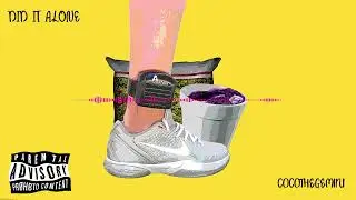 did it alone - cocothegemini